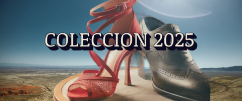 coleccion 2025